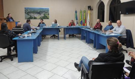 Presidente da Associação Pró-Autismo Balão Azul fala para vereadores